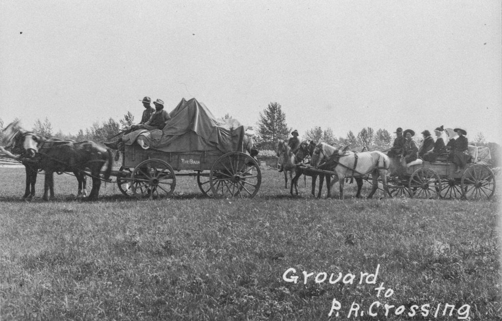 Horses Pulling Carts on Wagon Train